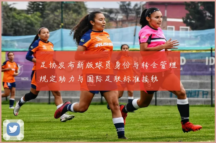 足协发布新版球员身份与转会管理规定助力与国际足联标准接轨